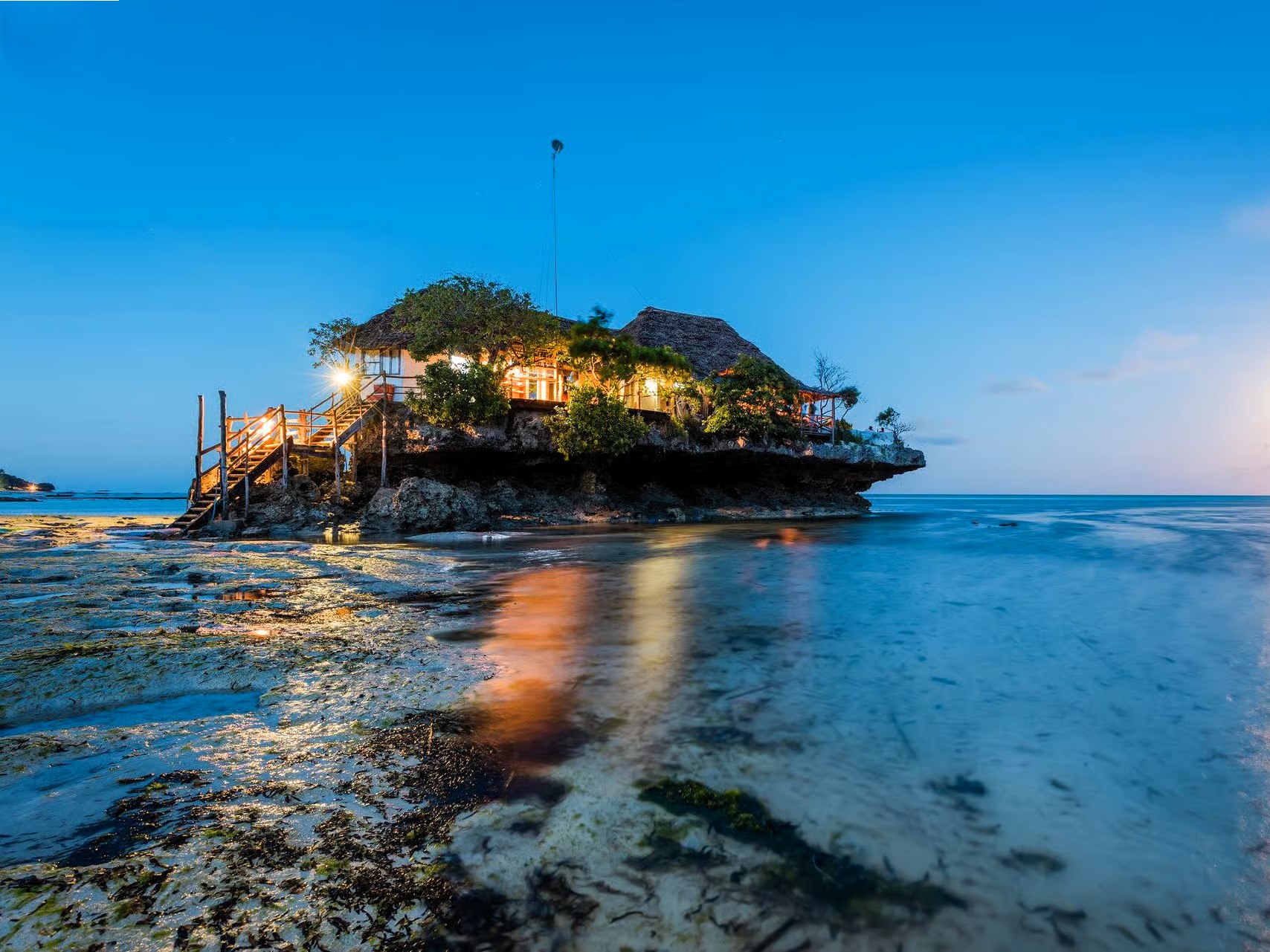 Half Day Blue Lagoon and The Rock Restaurant tour image