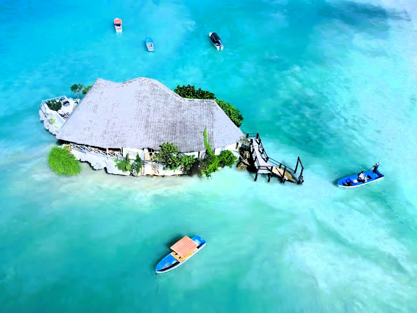 Fresh seafood lunch at Rock Restaurant with panoramic views