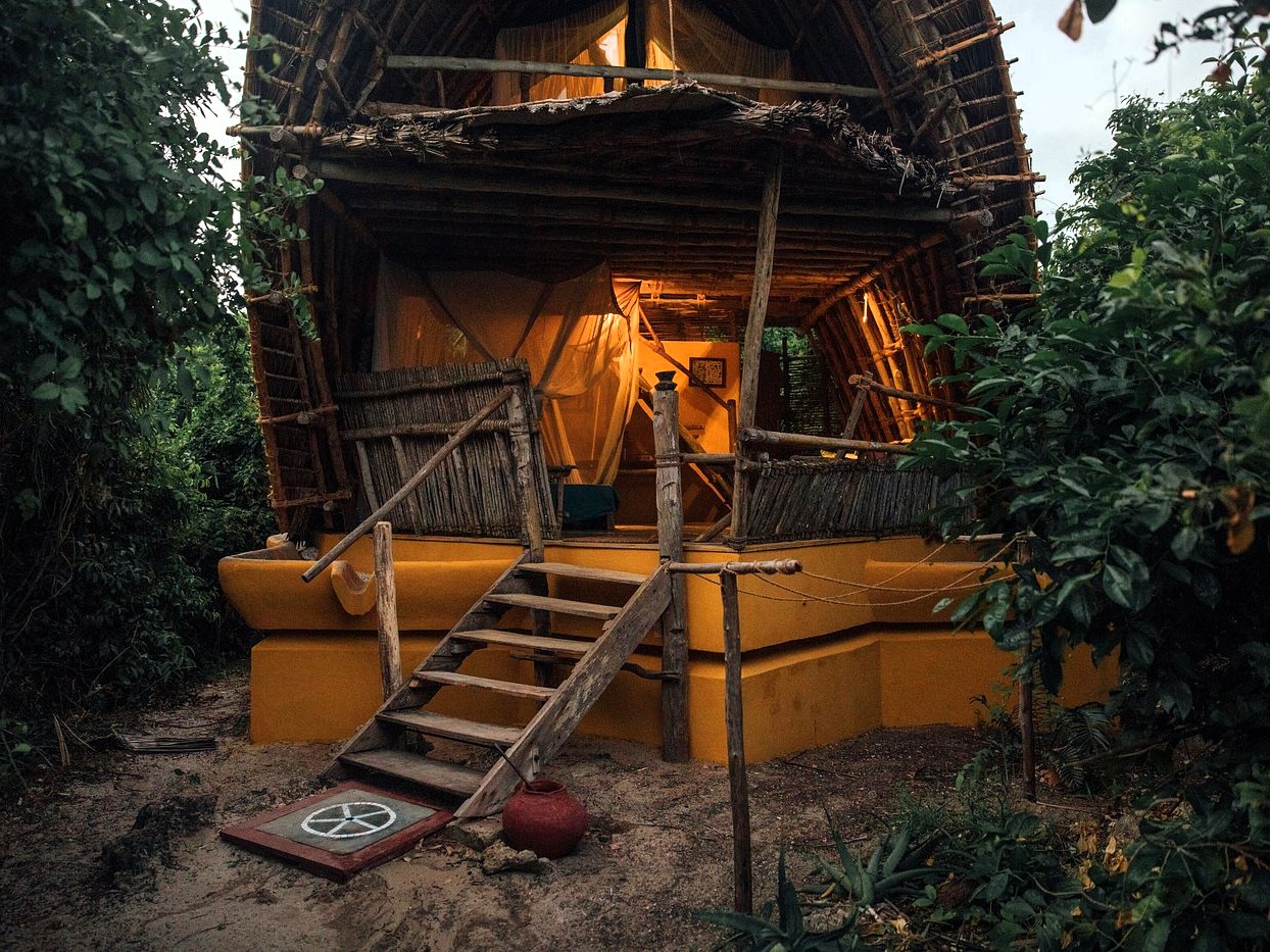 Full Day Chumbe Island tour image