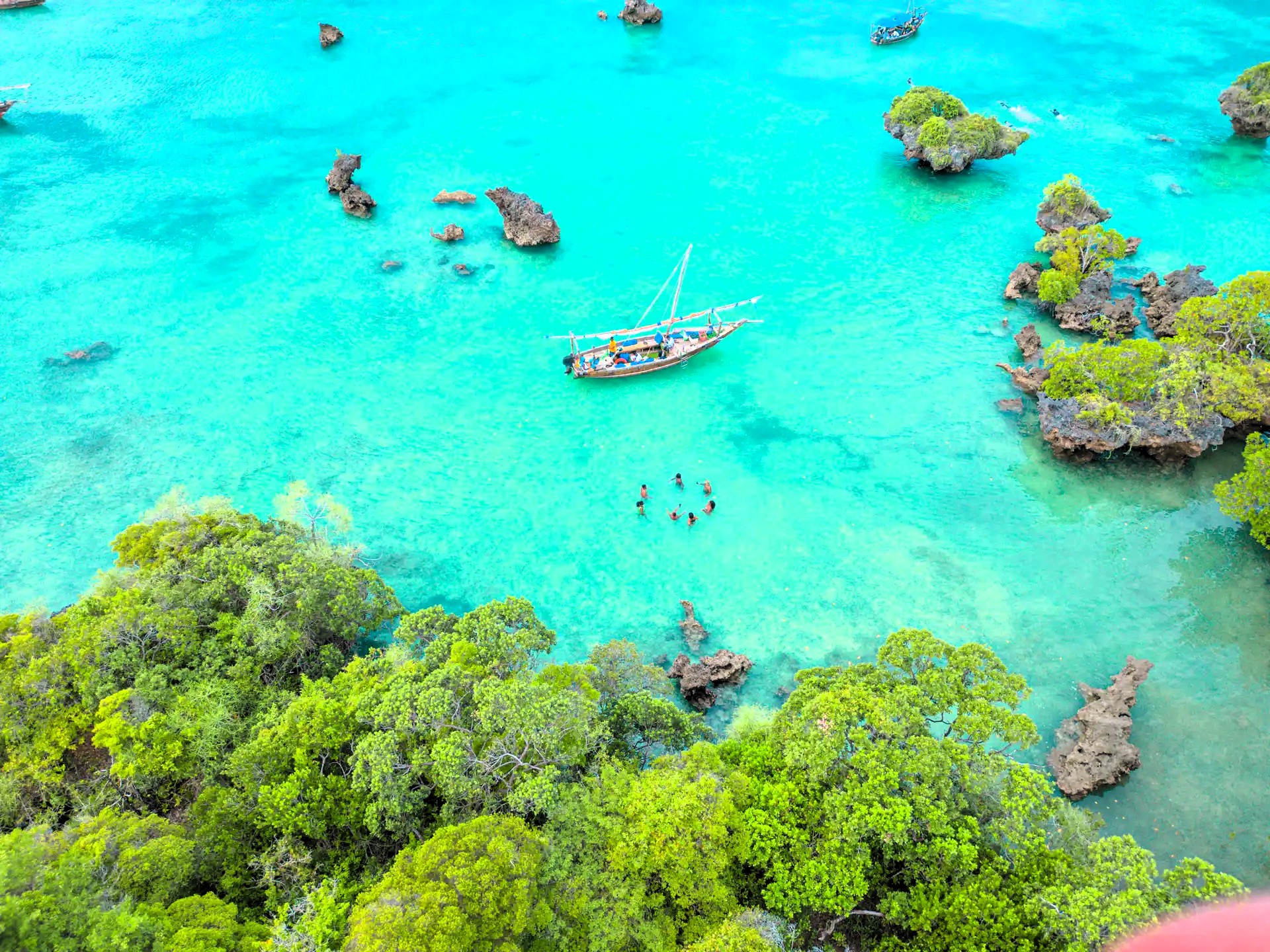 Snorkeling in crystal-clear waters with vibrant coral reefs at Safari Blue - Full Day Safari Blue Tour