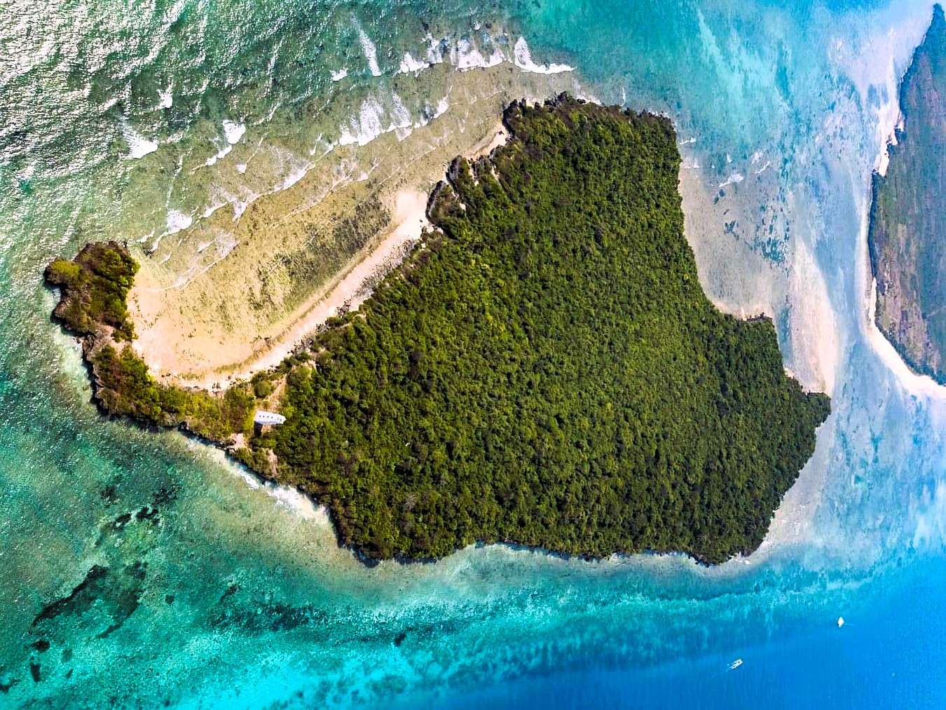 Full Day Tumbatu Island tour image