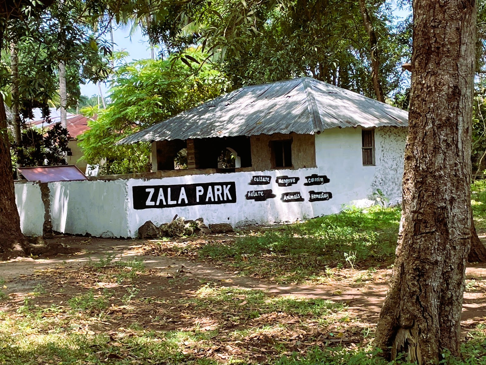Zebras at Zala Park during Half Day Tour