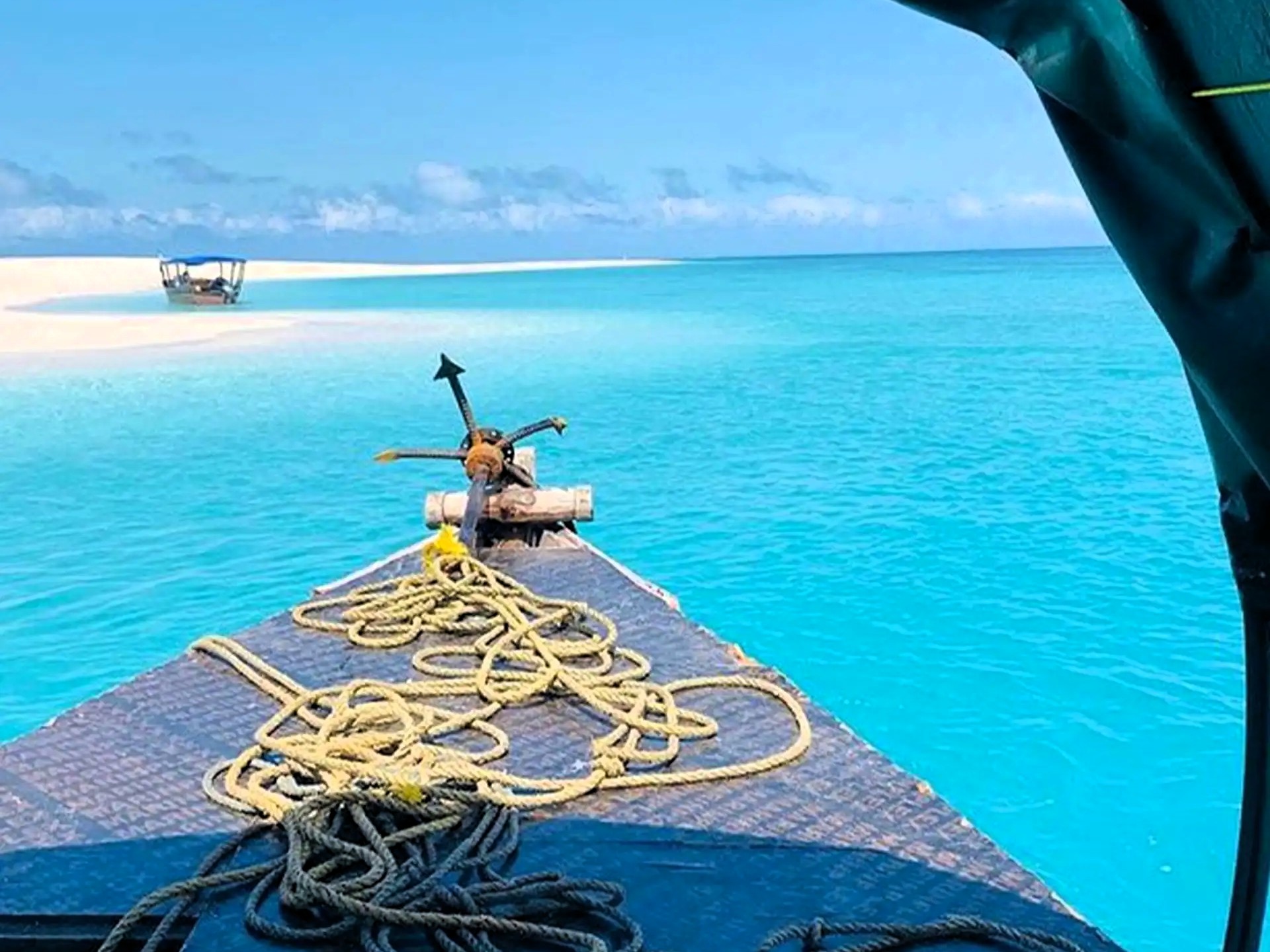Full Day Kizimkazi Sandbank tour image