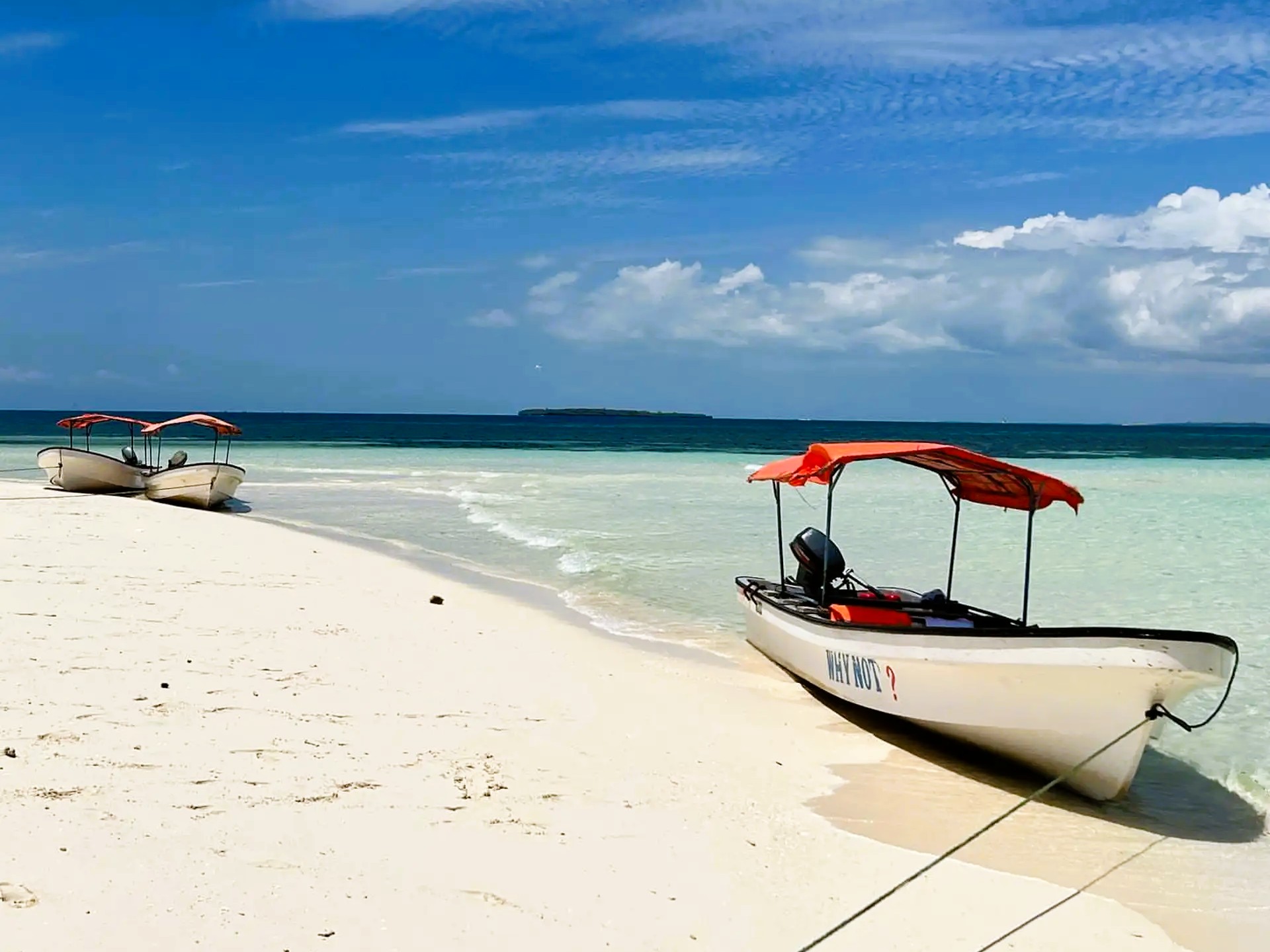 Marine life at Kizimkazi Sandbank