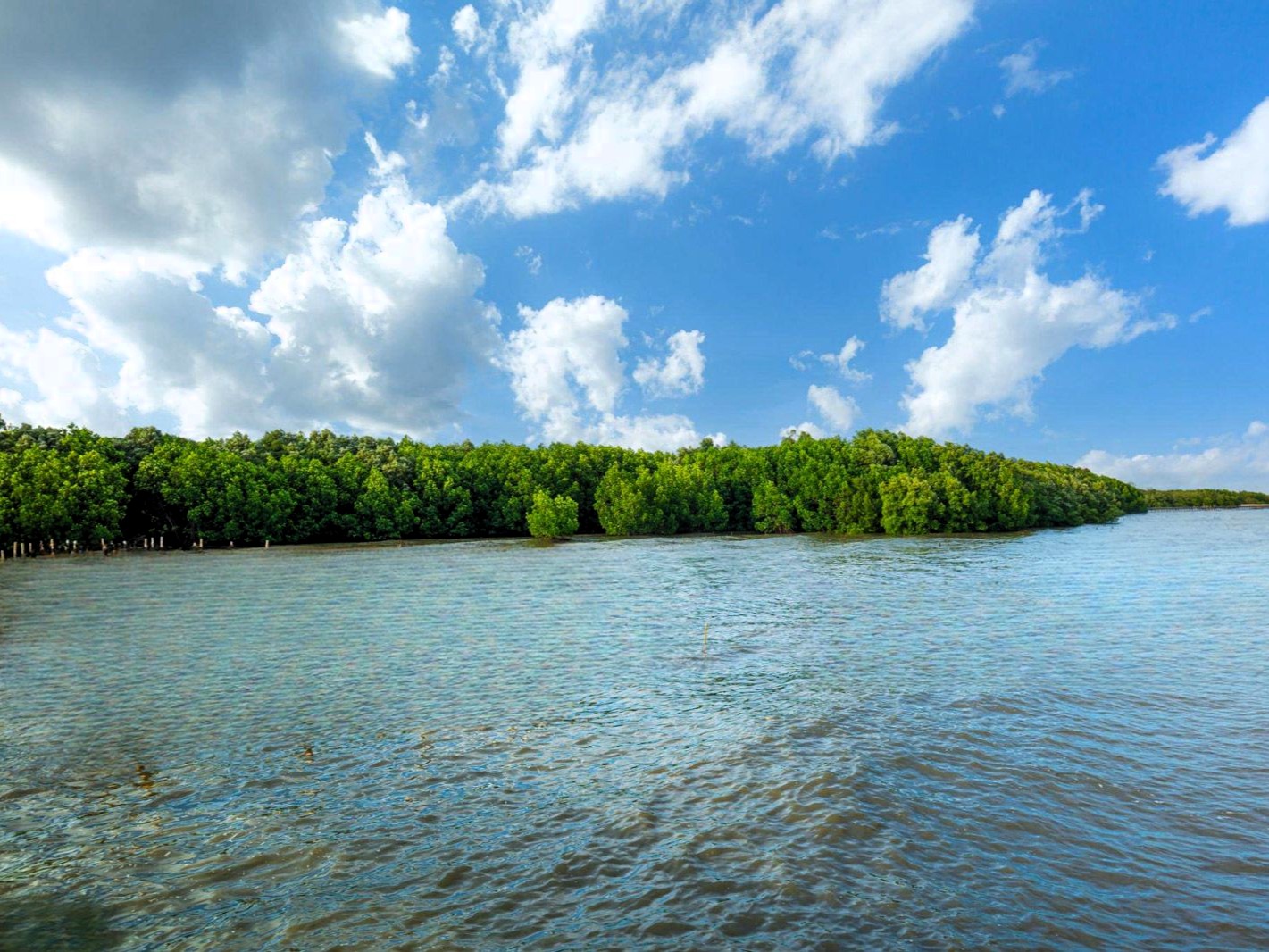Full Day Kwale Island tour image