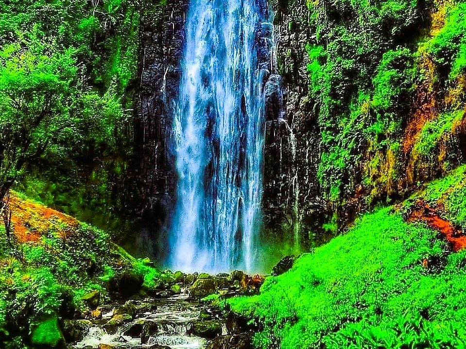 Materuni Waterfalls cascading waters and lush surroundings