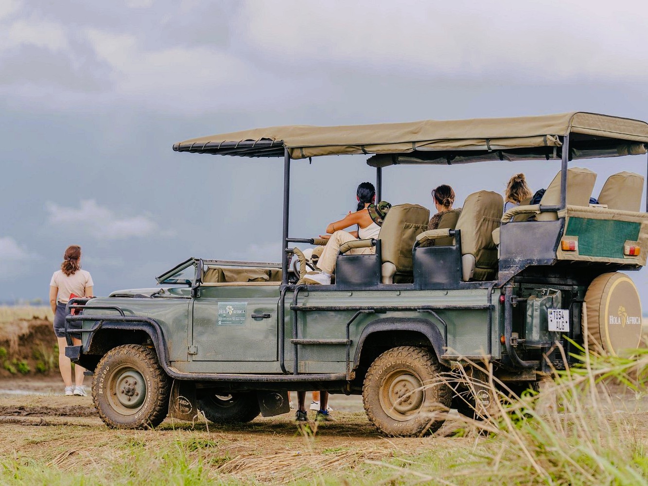 Majestic elephants roaming in Mikumi National Park