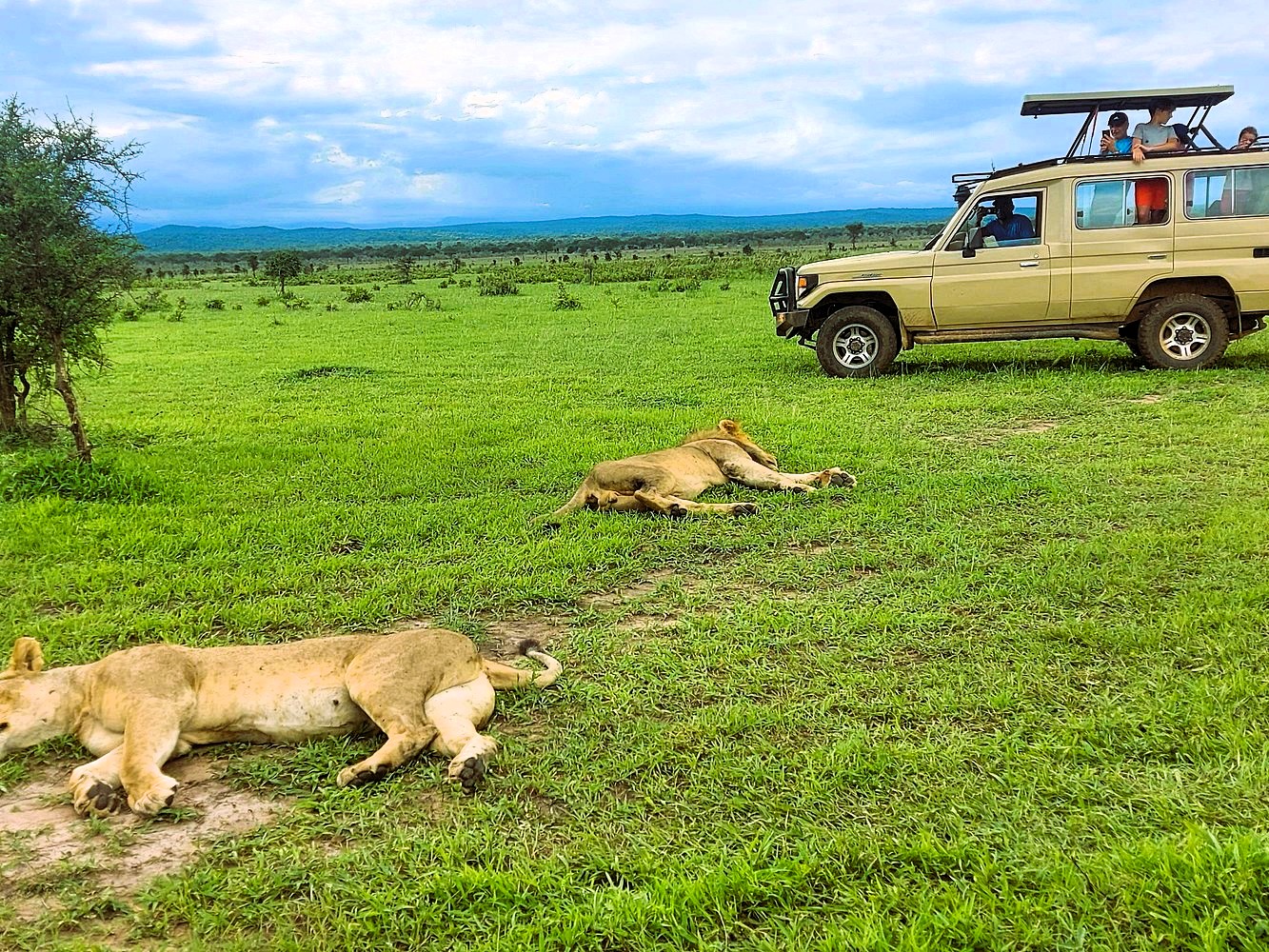 Mikumi National Park