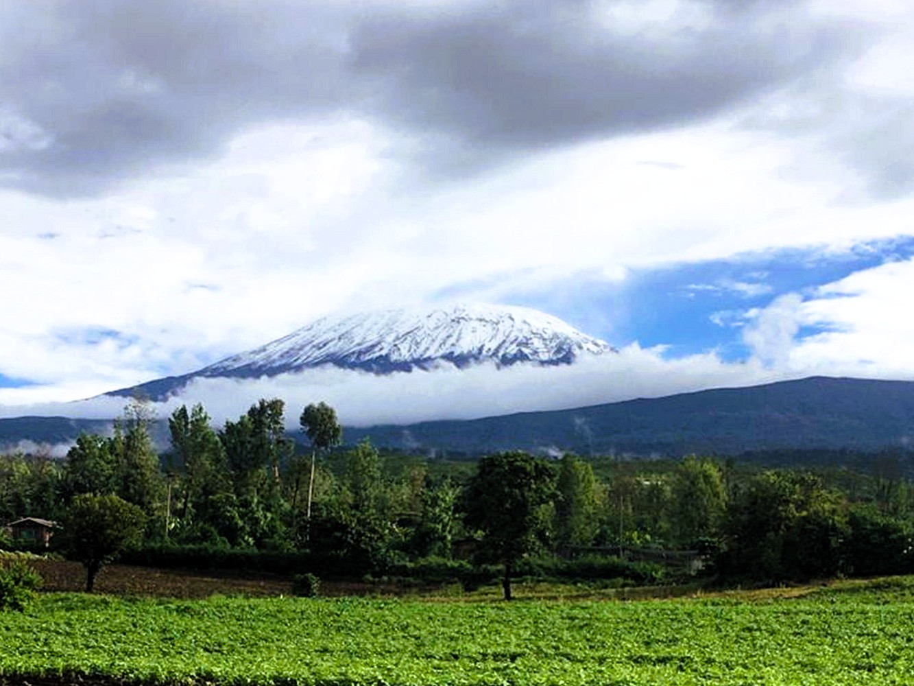 Mount Kilimanjaro moorland landscape