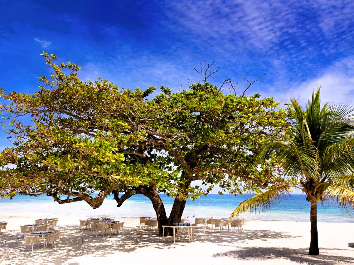 Crystal clear waters for snorkeling at Pongwe Island