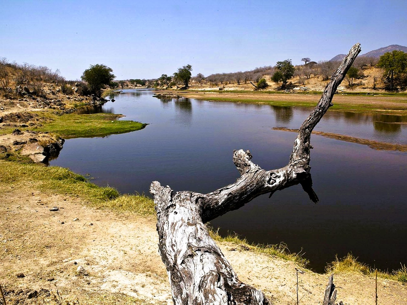 Ruaha National Park