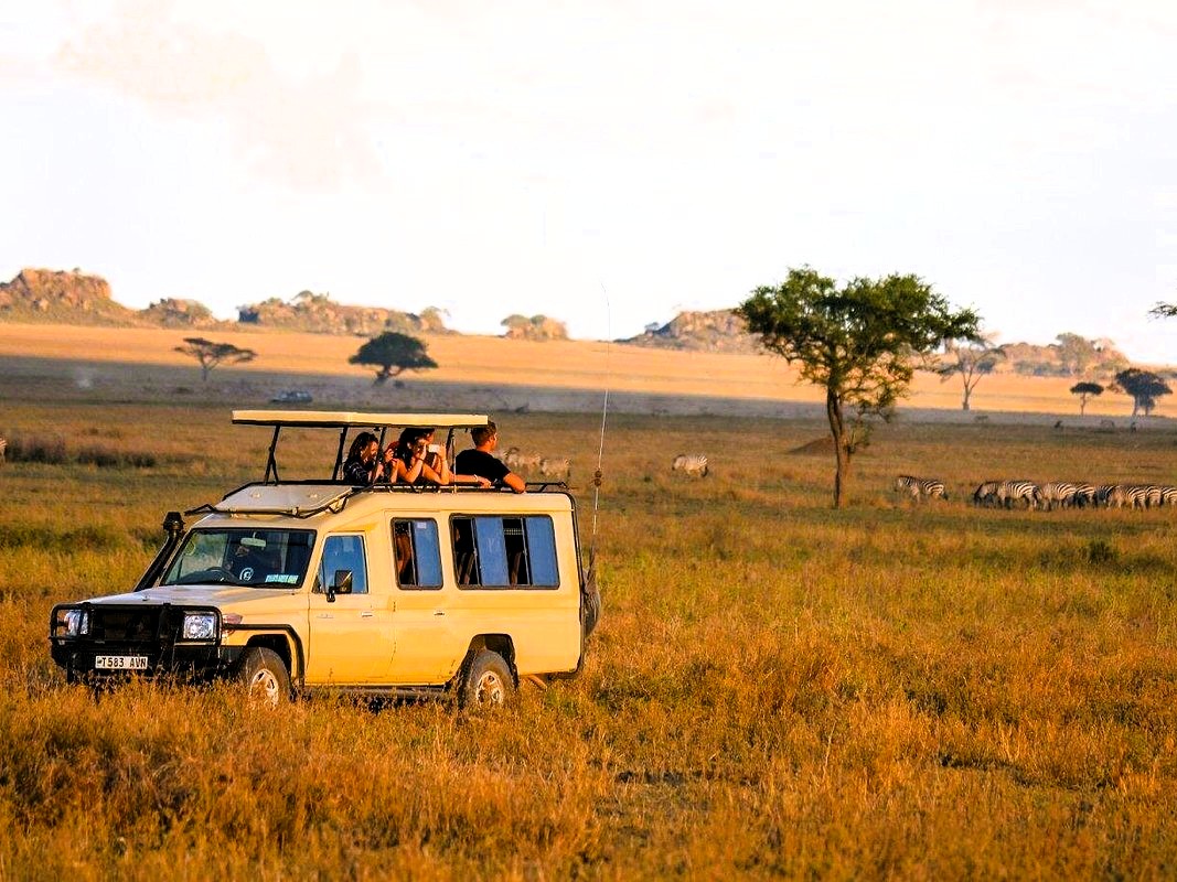 Serengeti National Park safari with vast plains and big five wildlife