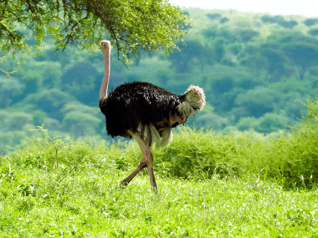 Serengeti National Park