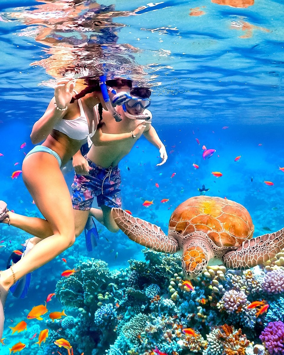 Snorkeling in Zanzibar's crystal-clear waters exploring vibrant marine life
