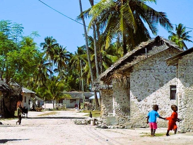 Half Day Village Tour - Spice Plantation Visit